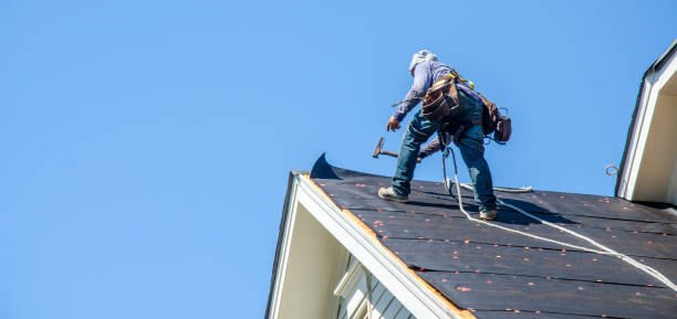 Best Storm Damage Roof Repair  in USA